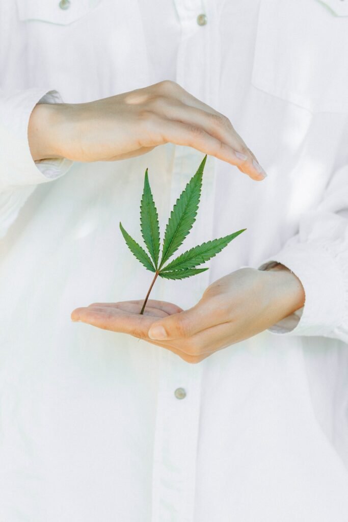 Person holding a Marijuana plant